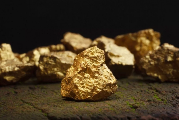 Восемь узбекистанцев пытались провезти в Индию более 5 кг золота