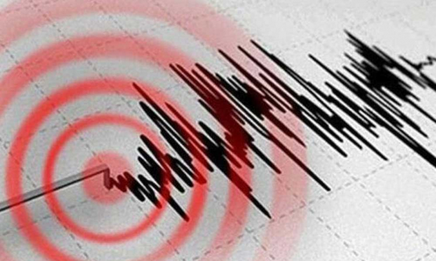 Ночью жители Андижанской области ощутили землетрясение