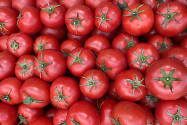 В Узбекистане значительно подорожали томаты