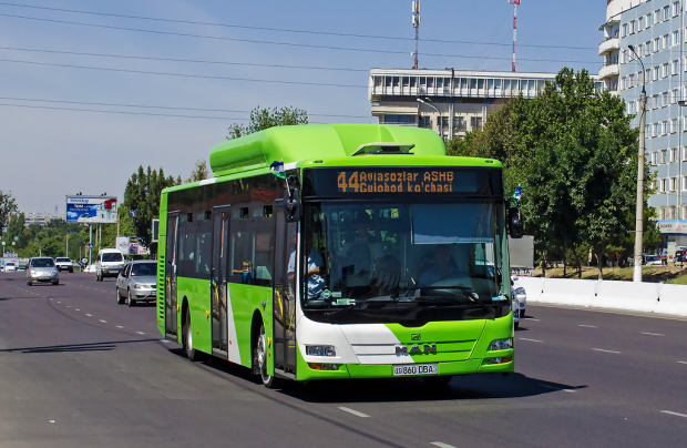 Стало известно, сколько заработали автобусы в Ташкенте в первый день учебного года