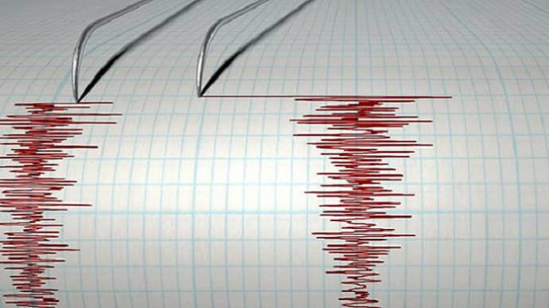 Утром жители трёх областей Узбекистана ощутили землетрясение