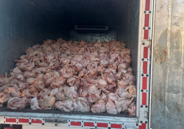 В Самарканде остановили грузовик с 5 тоннами сомнительной курятины