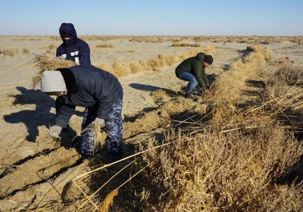В Центральной Азии может появиться до 5 млн экологических беженцев