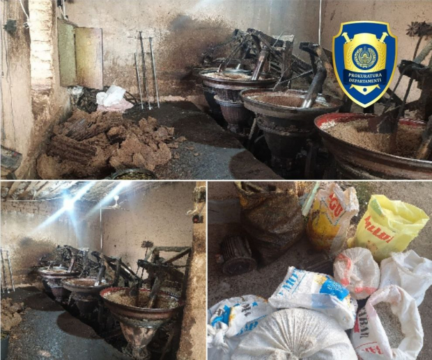 В Кашкадарье выявлен подпольный цех по производству хлопкового масла