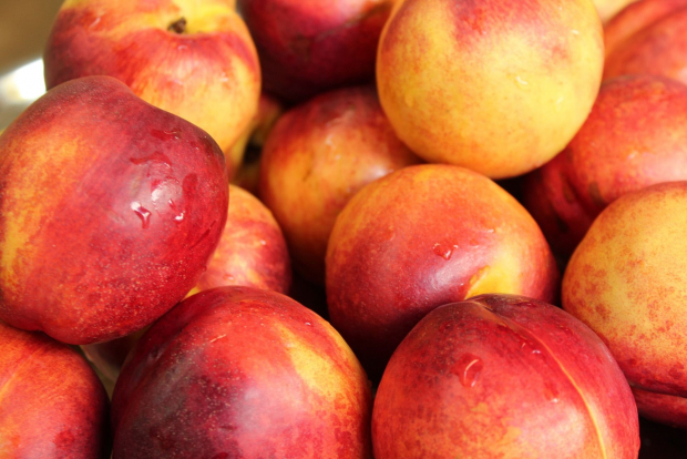 Экспорт персиков и нектарина из Узбекистан достиг $62 млн