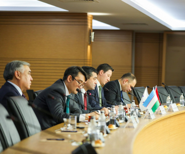 В Анкаре обсудили расширение сотрудничества в области смягчения последствий катастрофы Аральского моря