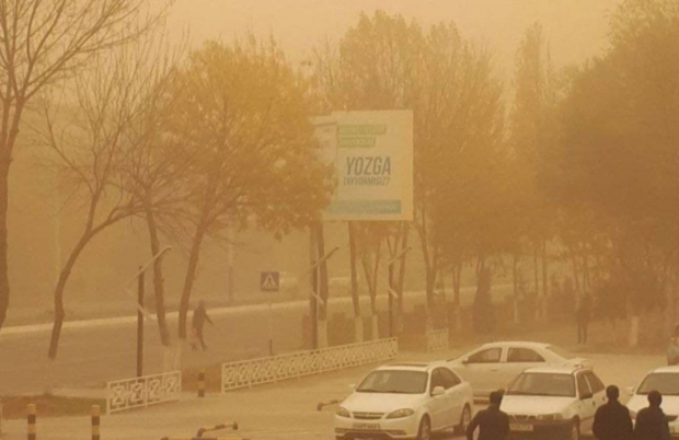 Названы причины участившихся пыльных бурь в Узбекистане