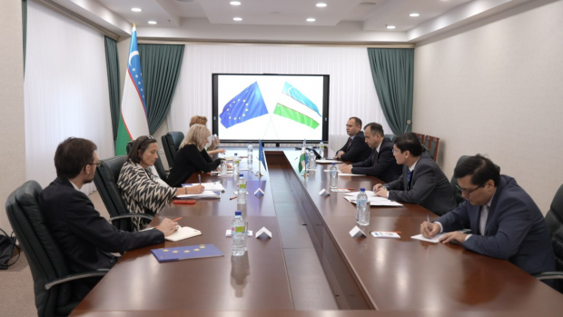 В МИД Узбекистана прошла встреча со специальным представителем ЕС по Центральной Азии