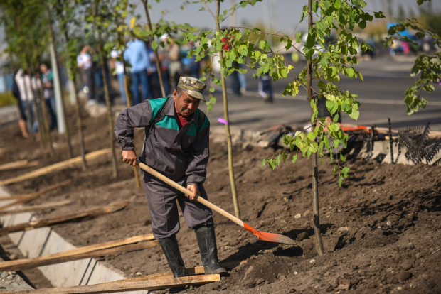 Работы по благоустройству в Узбекистане планируют передать частникам