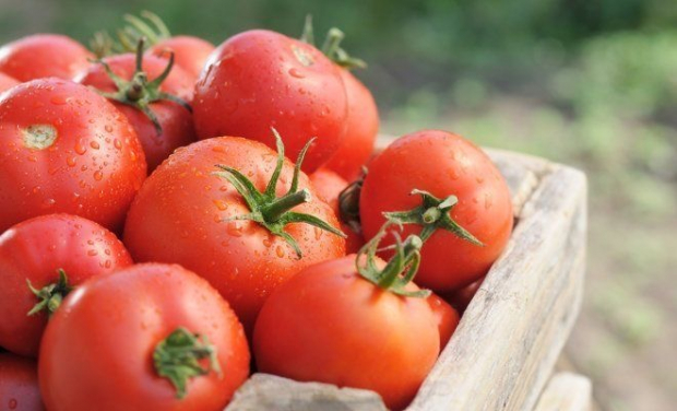 В Узбекистане стремительно продолжают расти цены на томаты
