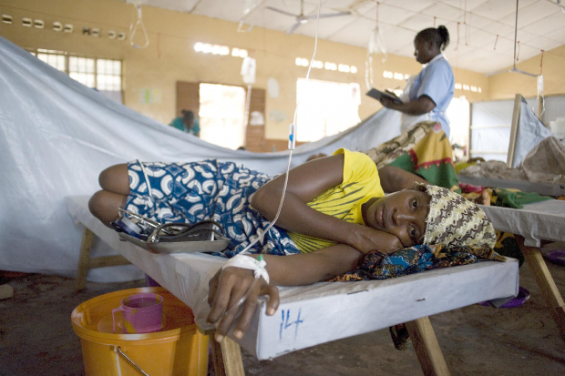 В мире за год холерой заразилось 600 тысяч человек