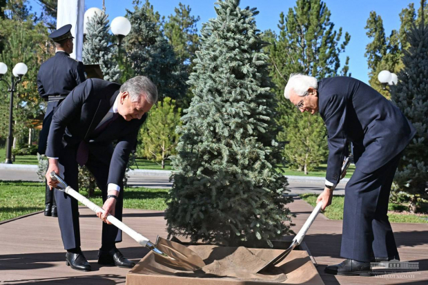 Шавкат Мирзиёев и Серджо Маттарелла посадили дерево