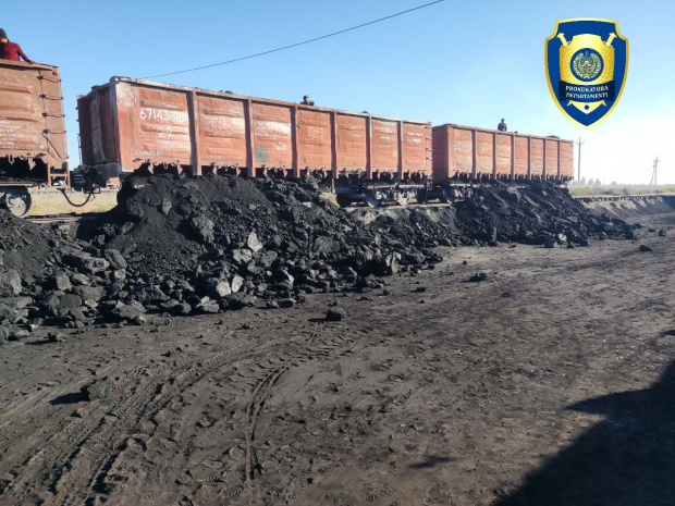 Ещё в трёх регионах Узбекистана выявлены крупные хищения угля