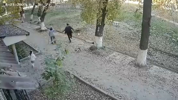 В Ташкенте мужчина отобрал у женщины-инвалида костыль и пытался пнуть маленькую собаку - видео