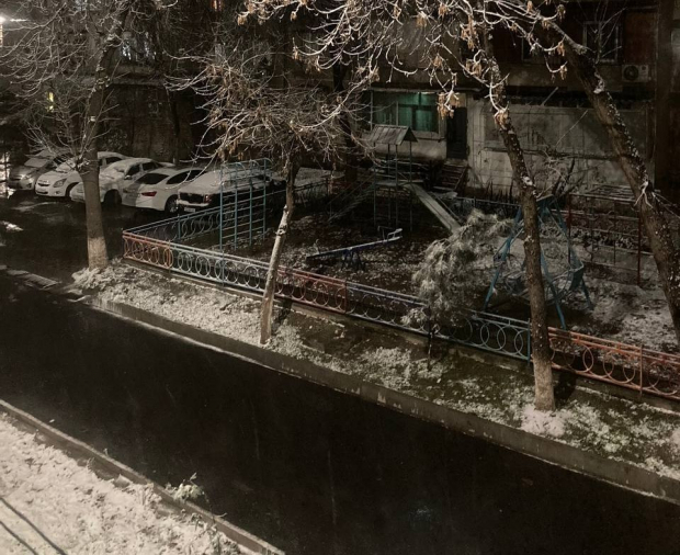 Первый снег в Ташкенте — видео