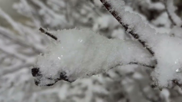 Ожидается ли снег на Новый год в Узбекистане?