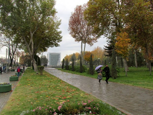 В Узбекистане ожидается дождь и снег