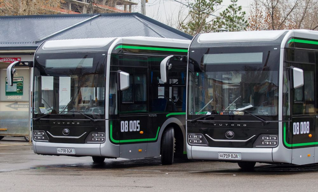 В Узбекистане планируют запустить производство электробусов