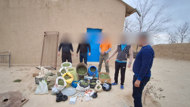В Кашкадарье на основании показаний гражданина задержали наркоторговца