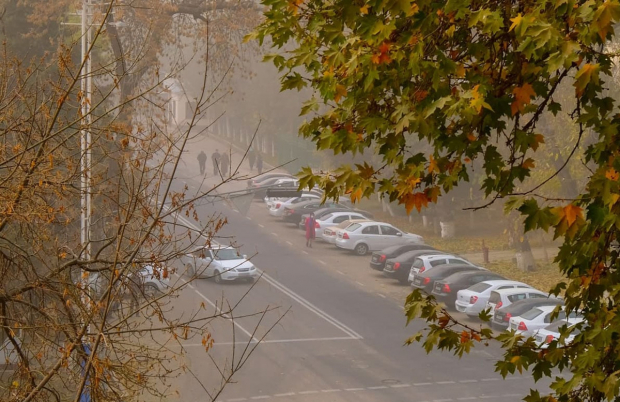 Министерство экологии опубликовало план очищения воздуха Ташкента