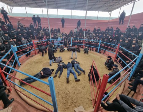 В Фергане граждане организовали арену для проведения петушиных боёв, которая могла вместить сотни зрителей