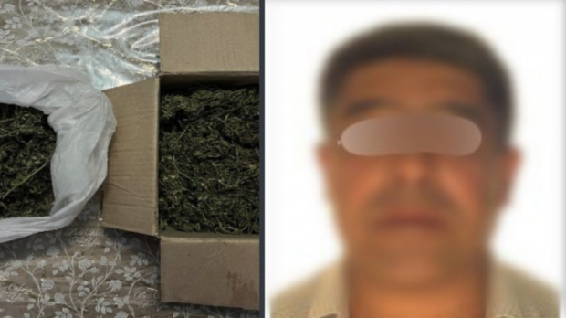 В доме жителя Ферганской области выявили марихуану
