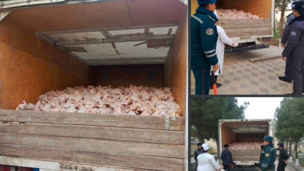 В Навои пресекли перевозку 3 тонн курицы, которую перевозили в Ташкент без соблюдения санитарных норм