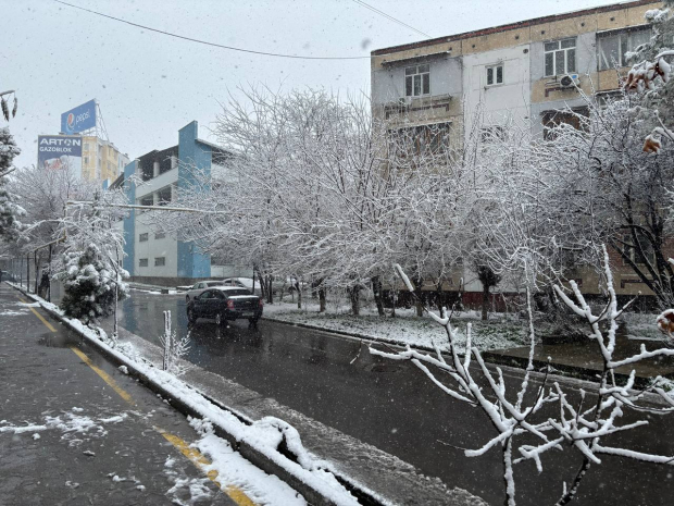 В Ташкент вернулся снег — фото