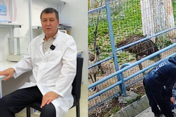 Главный ветеринарный врач Ташкентского зоопарка прокомментировал инцидент с эму — видео