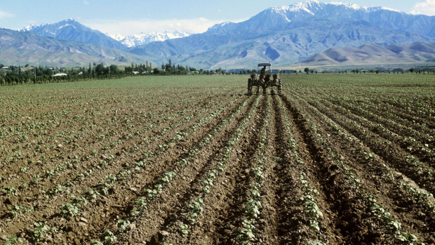 Узбекистан направит $300 млн на развитие сельского хозяйства