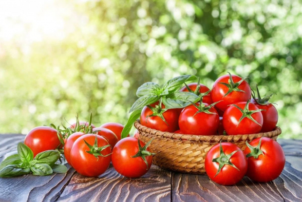 В Екатеринбурге забраковали почти 20 тонн узбекских томатов