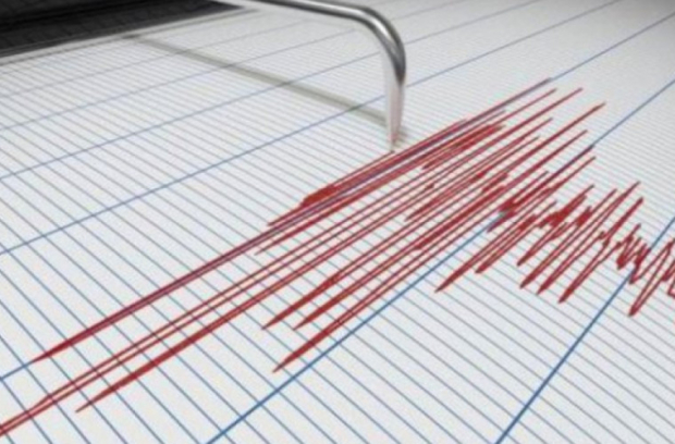 Жители Ташкента и Ташкентской области ощутили отголоски землетрясения в Казахстане