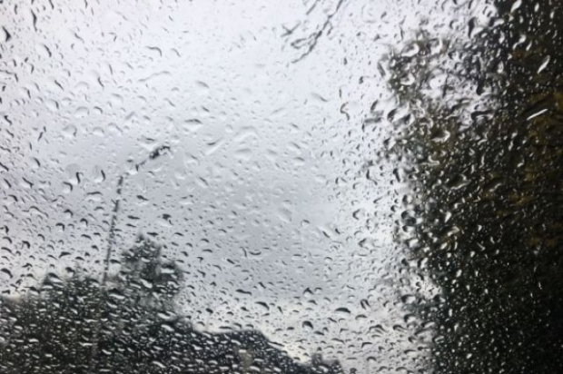 В Ташкенте ожидается дождь