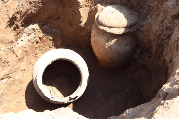 Фермер из Узбекистана обнаружил древние артефакты на своем участке