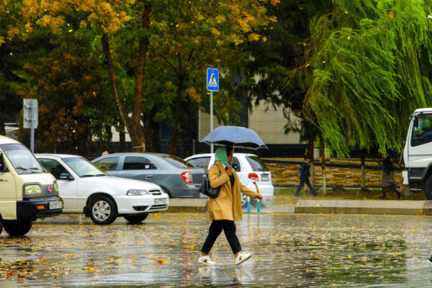 В Узбекистане рассказали о предстоящих дождях и грозе на выходных