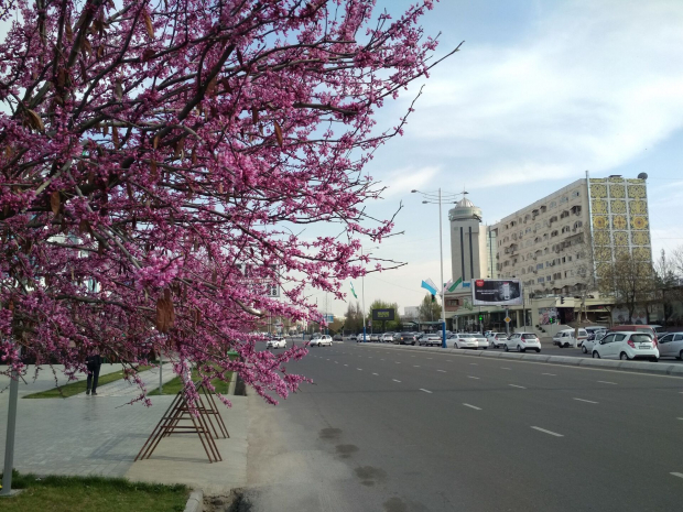В Узбекистане опубликован прогноз погоды на начало следующей недели