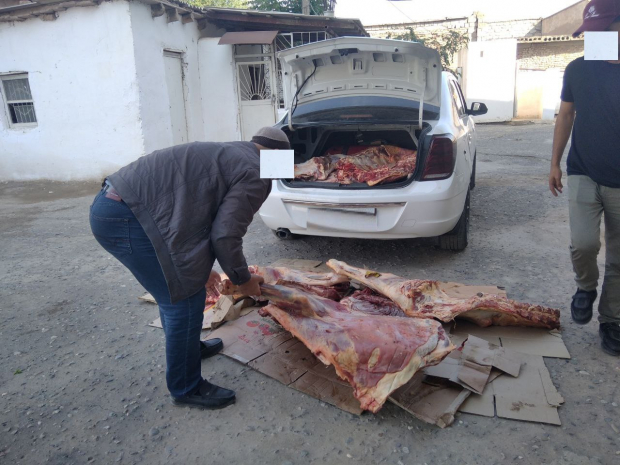 Из Денау в Ташкент перевозили непригодную к употреблению говядину