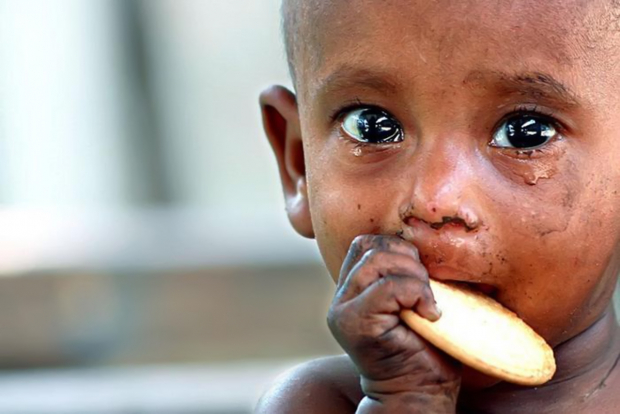 ООН заявляет о начале глобального голода