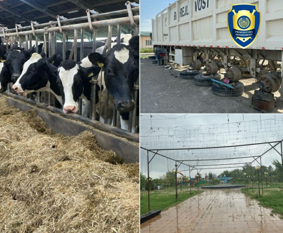 В Ташкентском и Андижанском районах расхитили почти 4 млрд сумов целевых кредитов