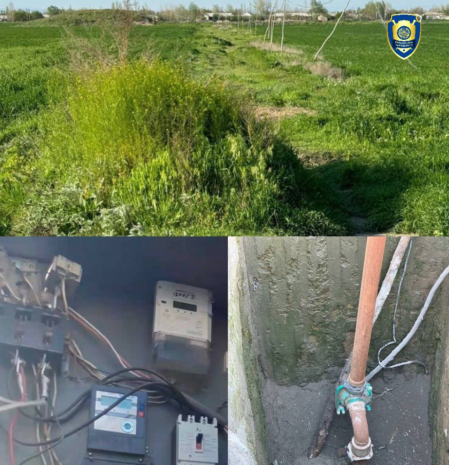 В Самаркандской области в двух теплицах незаконно использовали природный газ на 1 млрд сумов