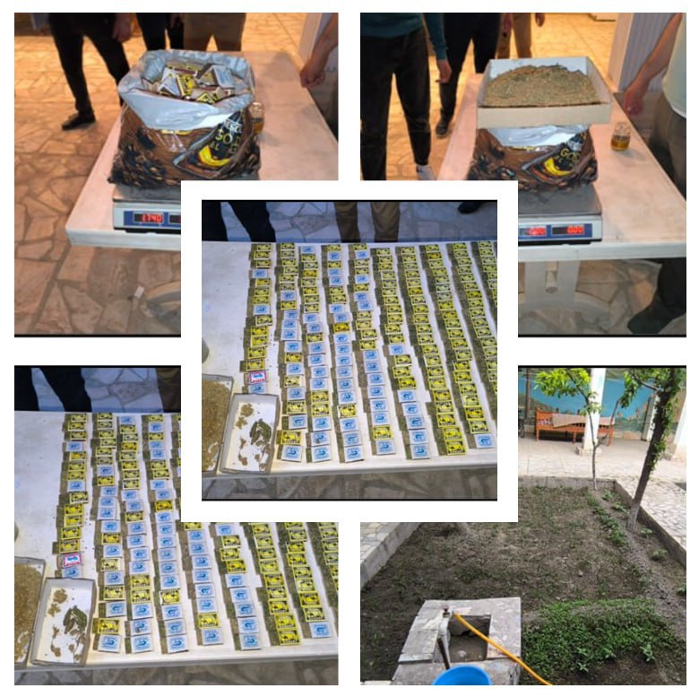 В Бухаре задержали наркоторговцев, которые сами выращивали и продавали марихуану
