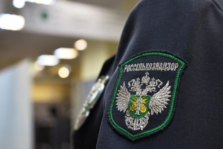 Экспортеры Узбекистана заявили о блокаде поставок продуктов в РФ