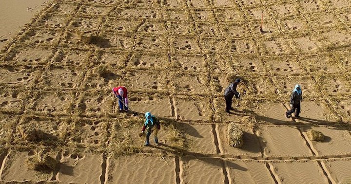 Китай и Узбекистан будут вместе бороться с пустыней