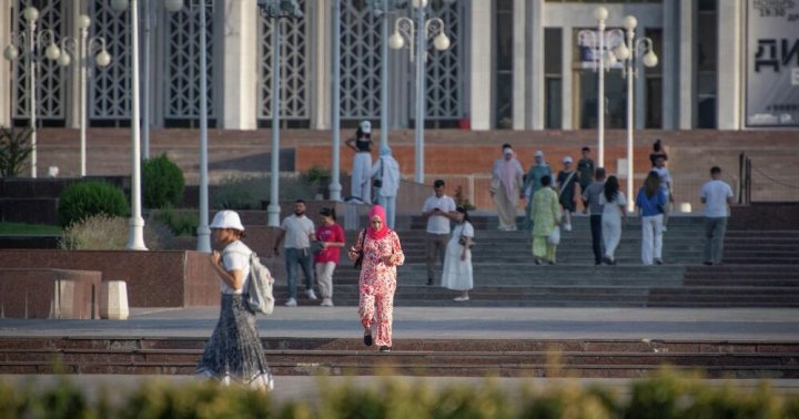 Жители Ташкента неохотно участвуют в переписи в отличии от других регионов