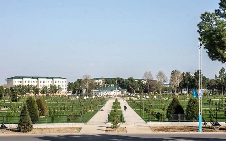 Уровень пыли в Термезе сильно сократился на фоне роста зеленых зон